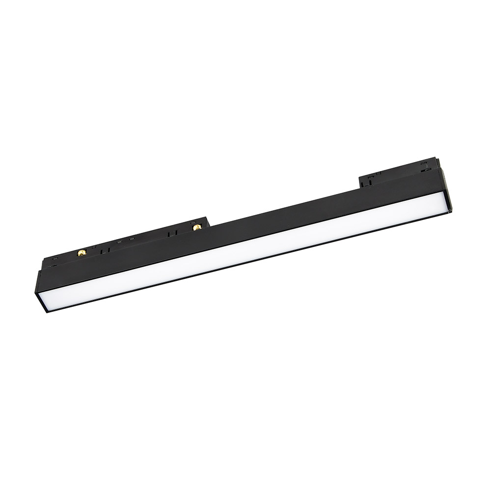 magnet-lm1.jpg