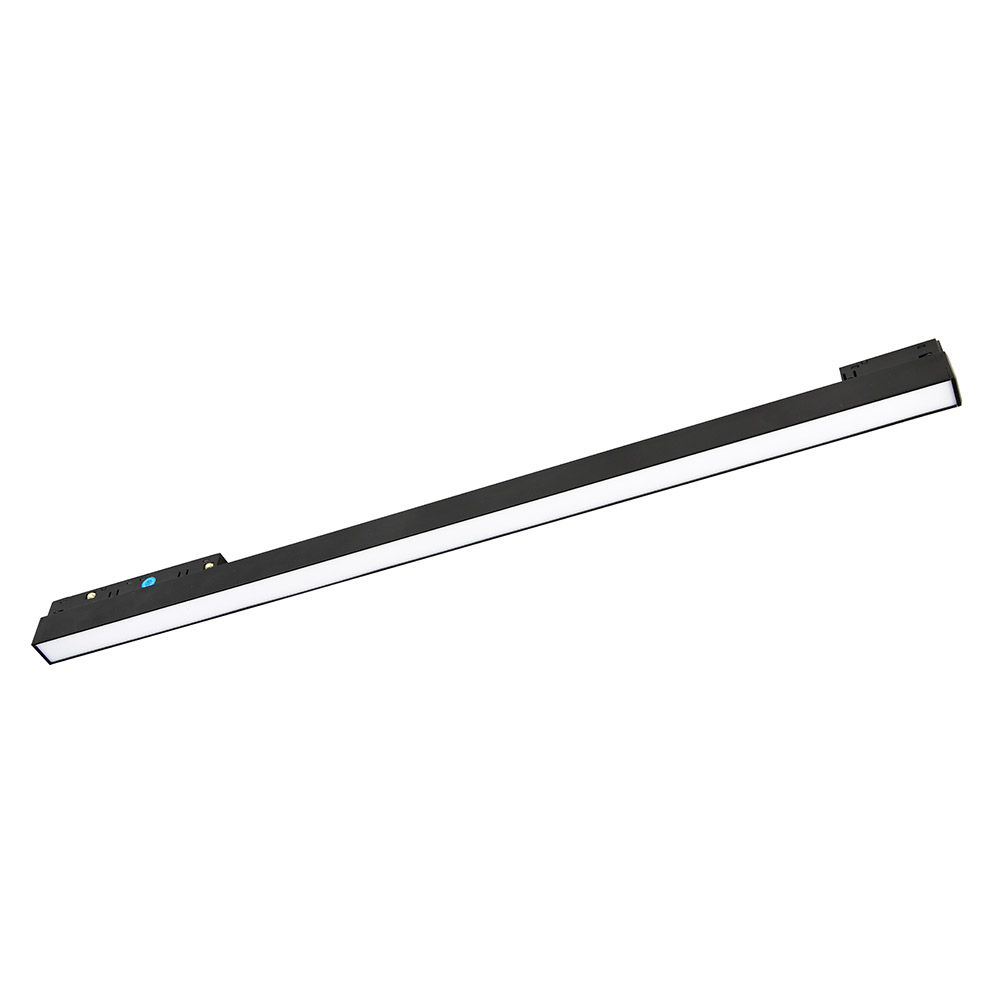 magnet-lm2.jpg